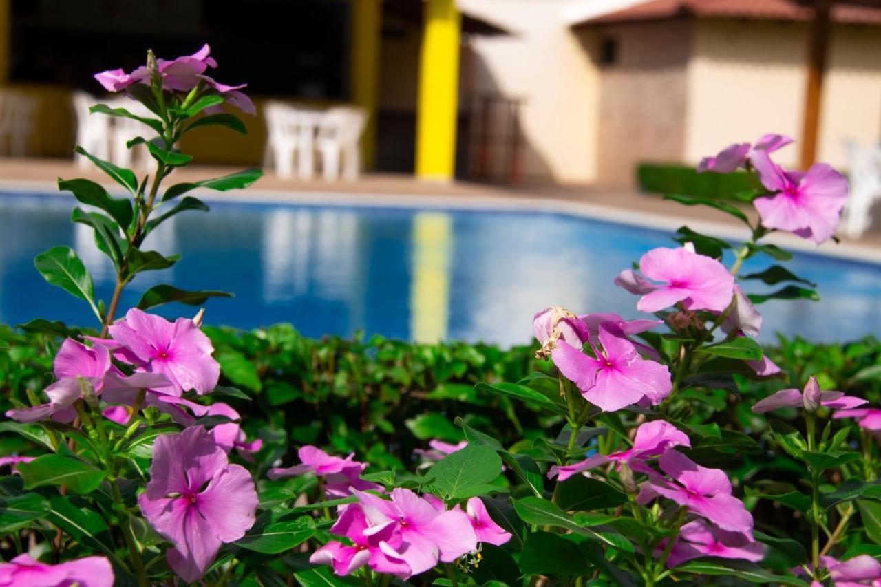 Deluxe Suites Guacamayos - Eco-Lodge & Swimming Pool Bonao Exteriör bild